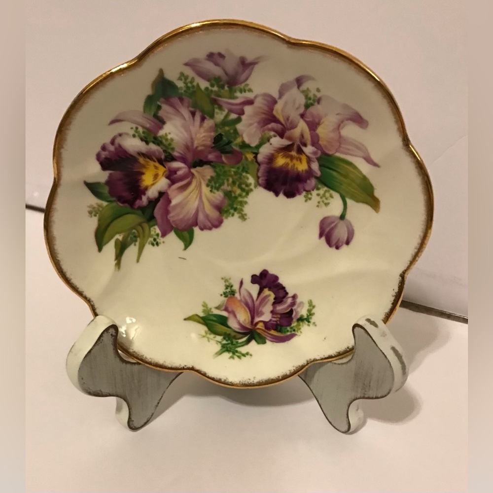 Salisbury Orphaned Bone China Purple and Yellow Orchid Teacup Saucer